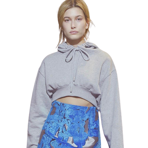 Land of Nostalgia Women's  Short Crop Top Pullover Sweatshirt Hoodies
