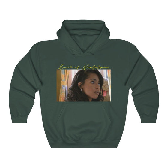 Land of Nostalgia Aaliyah Baby Girl Romeo Must Die Vintage Unisex Heavy Blend™ Hooded Sweatshirt - Land of Nostalgia