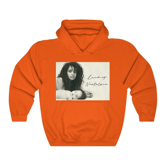 Land of Nostalgia Queen Lisa & Zoe Vintage Unisex Heavy Blend™ Hooded Sweatshirt
