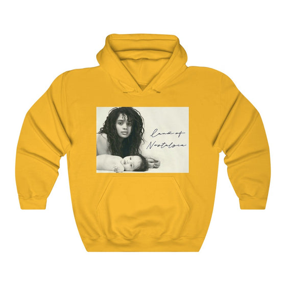 Land of Nostalgia Queen Lisa & Zoe Vintage Unisex Heavy Blend™ Hooded Sweatshirt