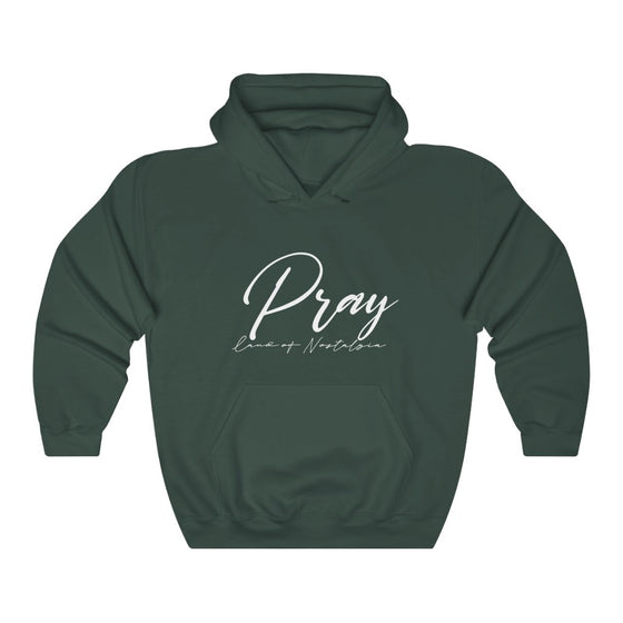 Land of Nostalgia Unisex Heavy Blend™ Hooded Pray Sweatshirt