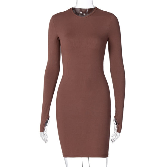 Land of Nostalgia Long Sleeve Bodycon Women's Winter Mini Dress