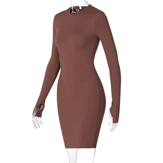 Land of Nostalgia Long Sleeve Bodycon Women's Winter Mini Dress