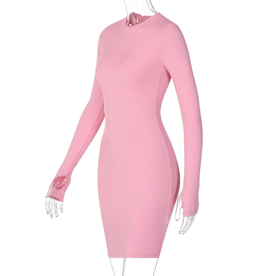 Land of Nostalgia Long Sleeve Bodycon Women's Winter Mini Dress