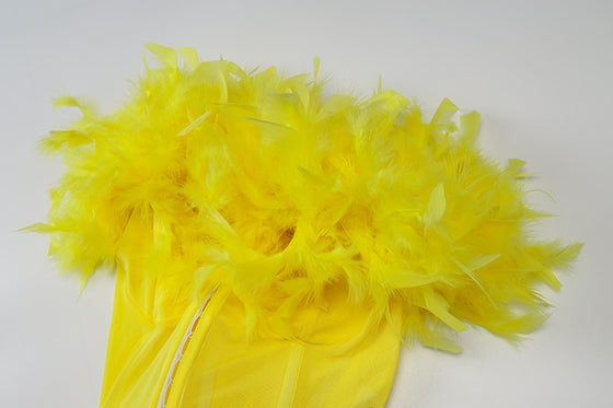 Land of Nostalgia Slash Neck Women's Spaghetti Straps Mini Dress with Feather